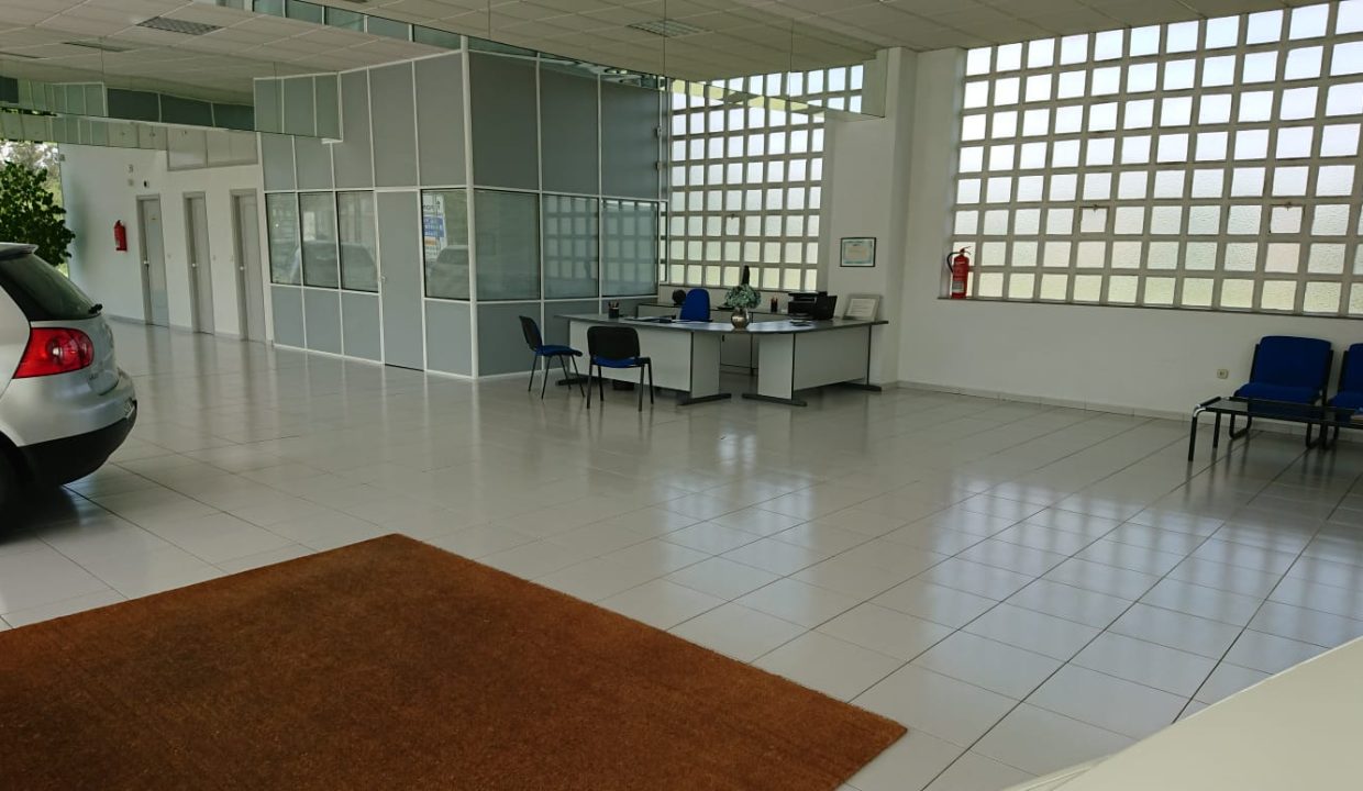 WhatsApp Image 2026-01-16 at 18.31.10 (1)