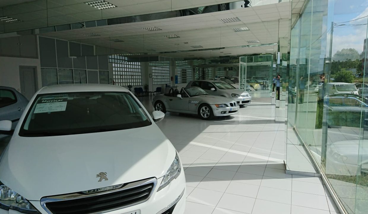 WhatsApp Image 2026-01-16 at 18.31.10