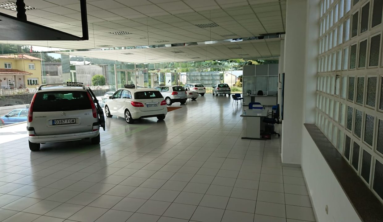 WhatsApp Image 2026-01-16 at 18.31.11