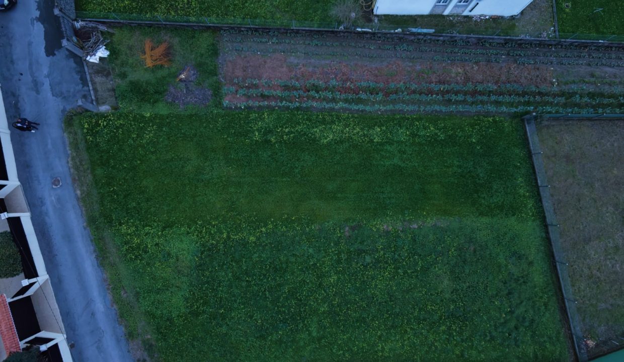 WhatsApp Image 2026-01-18 at 19.49.09