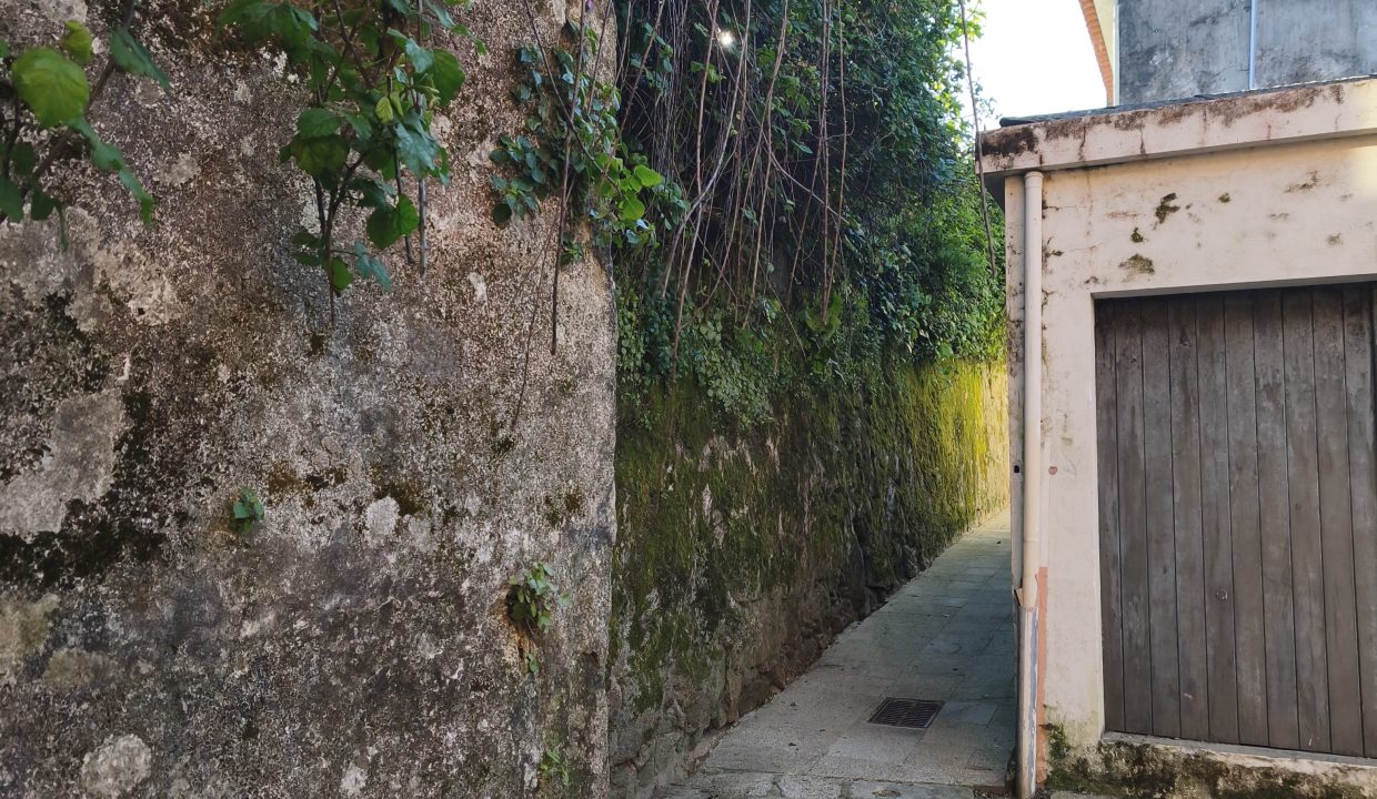 terreno edificable en palmeira