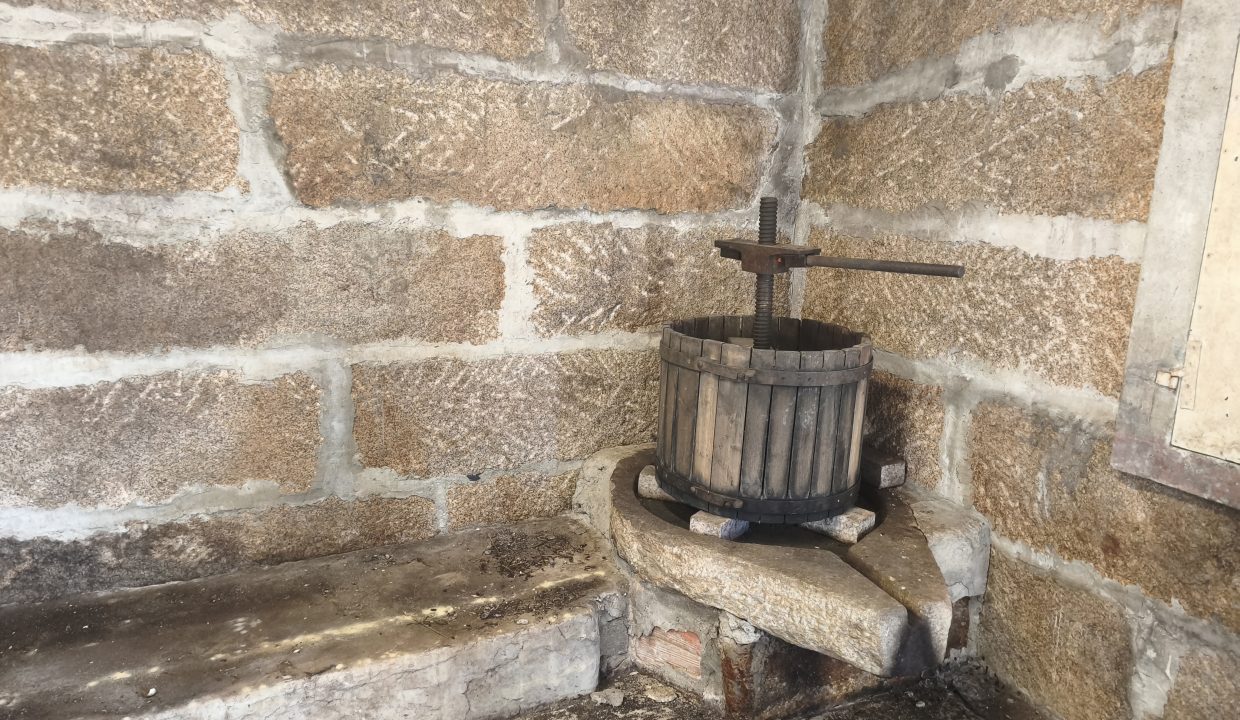 Casa para reformar con finca y viñedo