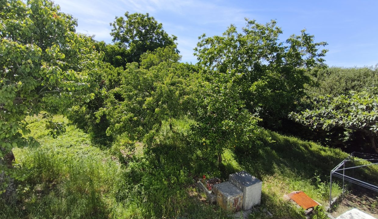 Terreno urbano de la propiedad